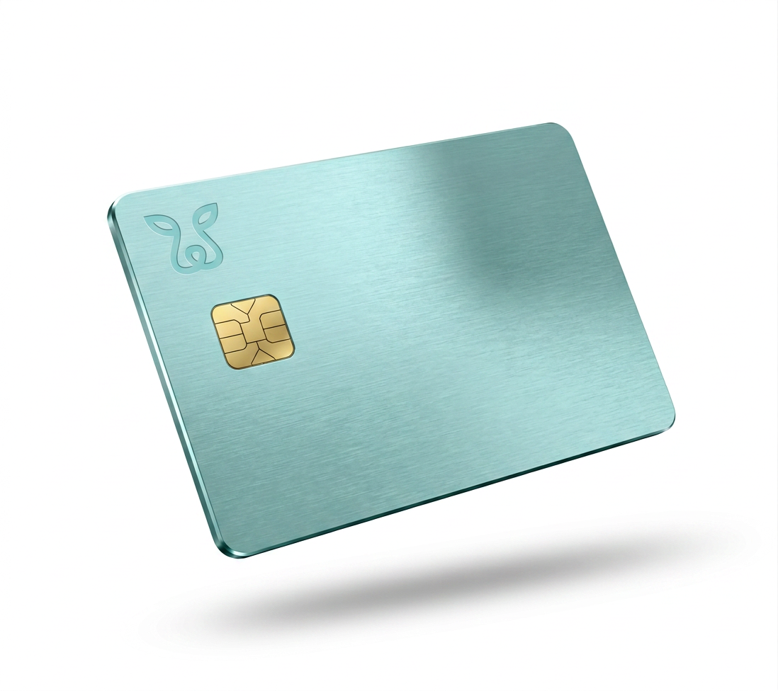 Carte de paiement Cheeta · crypto worldwide